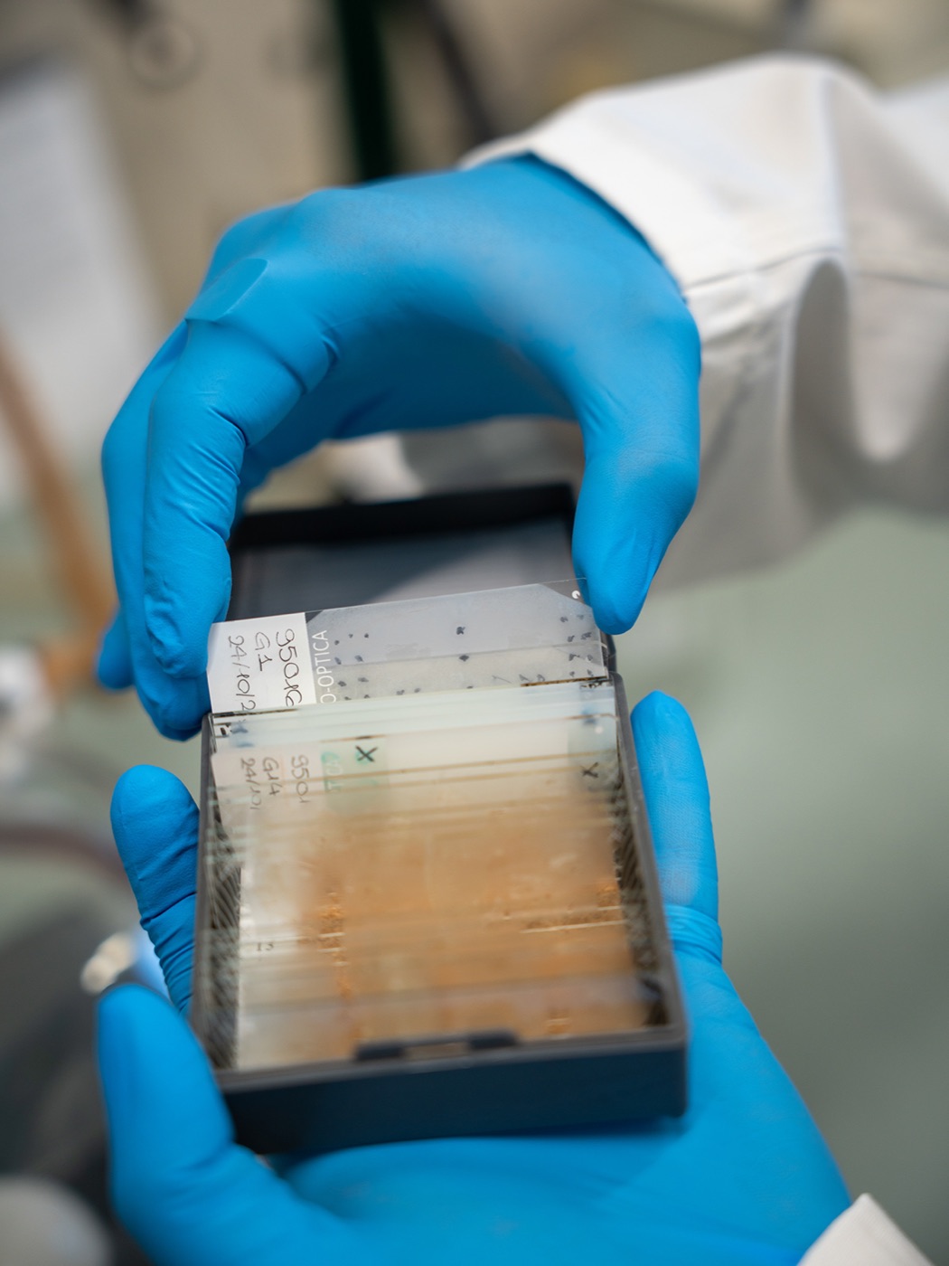 Blue-gloved hands holding a clear sample tray in a laboratory